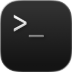 Terminal